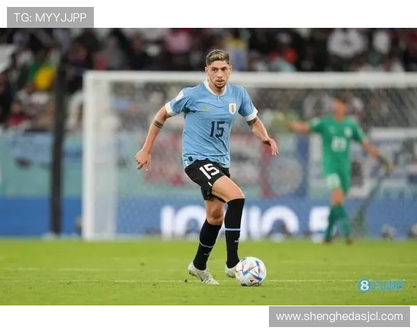 巴尔韦德国家队100场展望