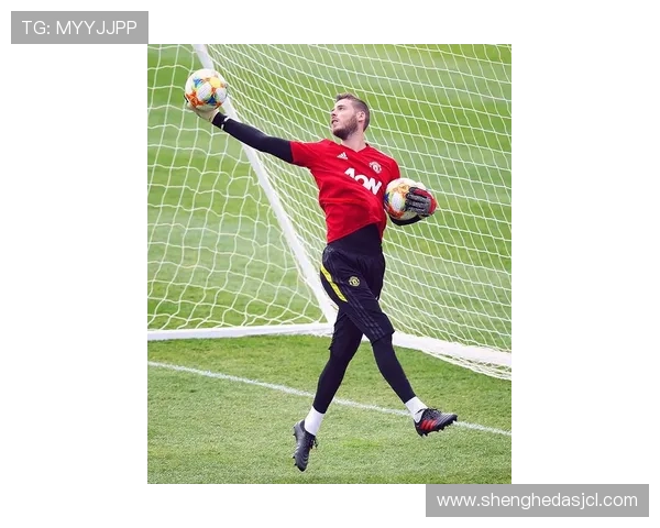 范戴克拜仁兴趣动态