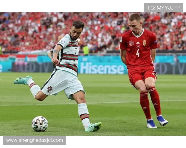 B费生涯个人表现与团队成绩评估