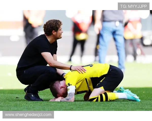 多特蒙德争冠关键阶段掉链子,对赛季走势形成制约 多特蒙德争冠关键阶段掉链子,对赛季走势形成制约